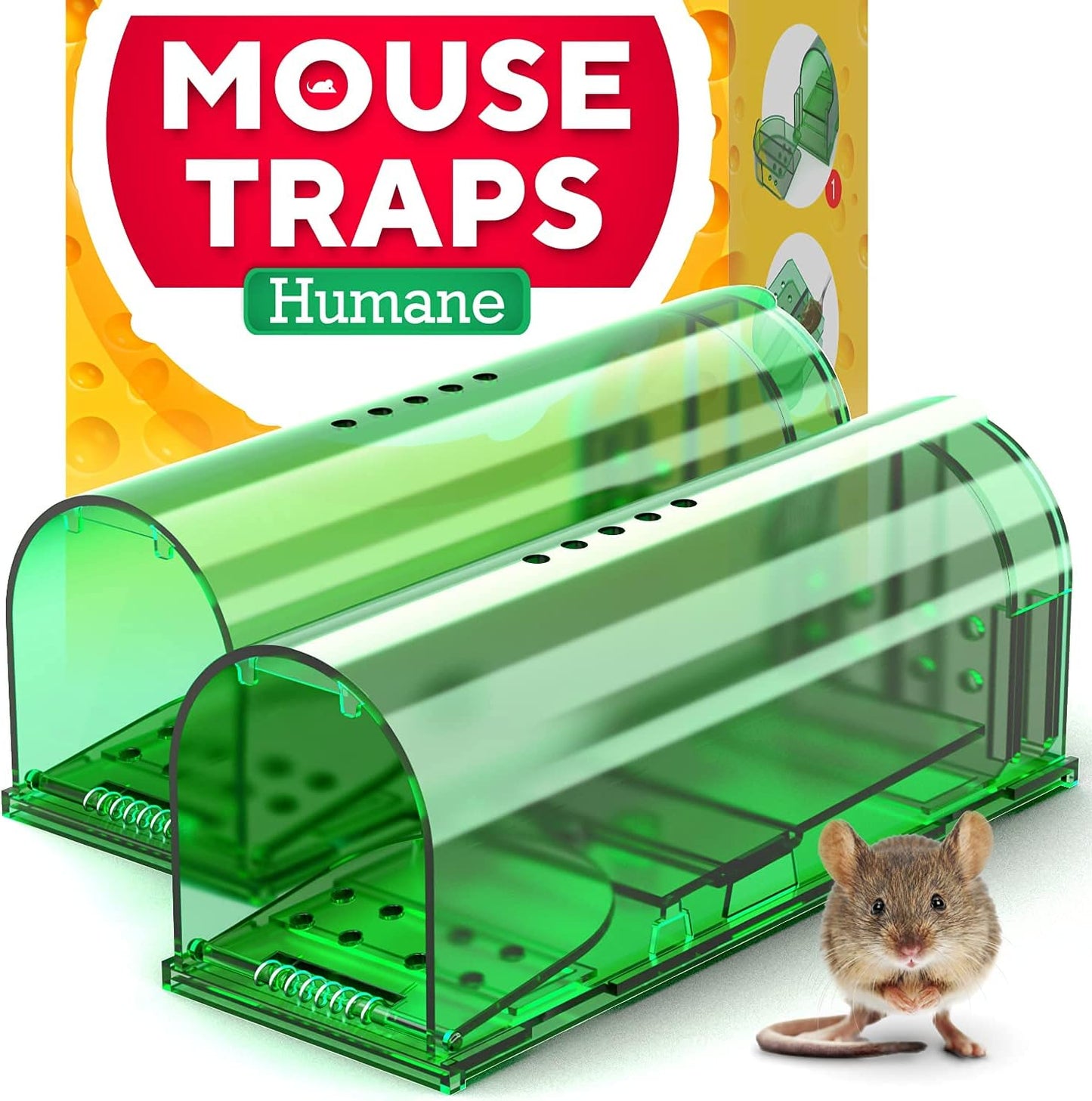 GEROSSI Humane Mouse Traps - Safe, Easy Set, Durable