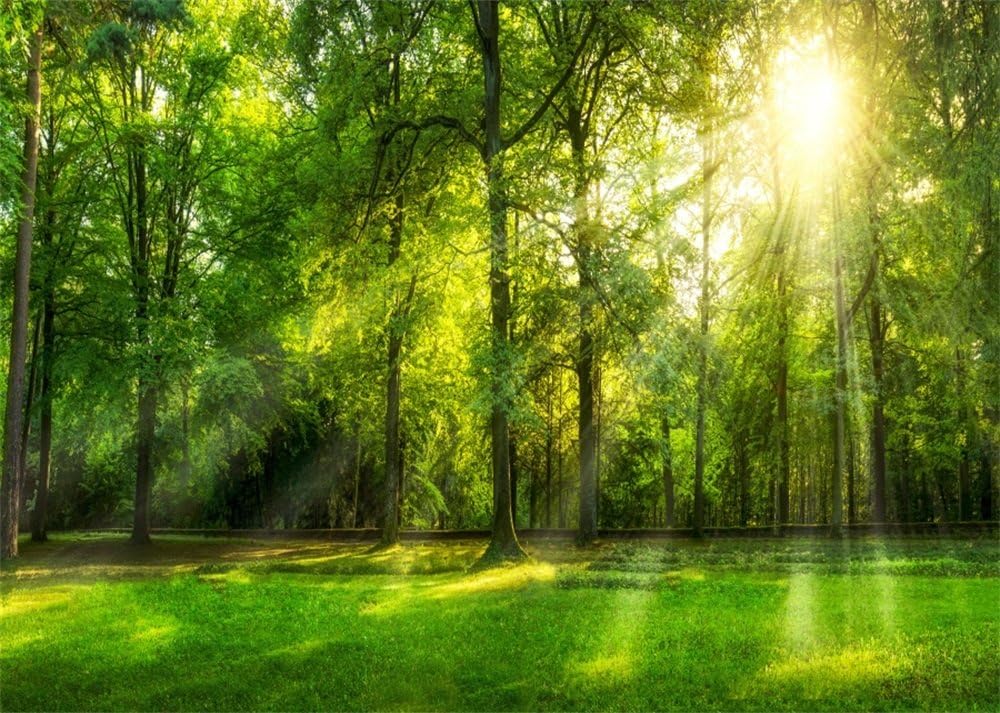 10x8ft Spring Backdrop for Jungle Forest Photography Fun