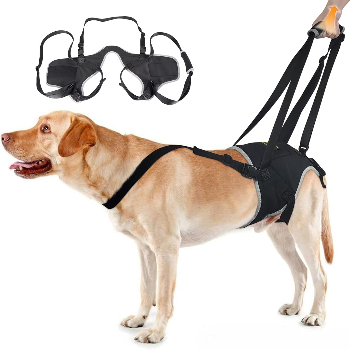 Dog Lift Harness for Small Dogs - Support for Recovery and Mobility