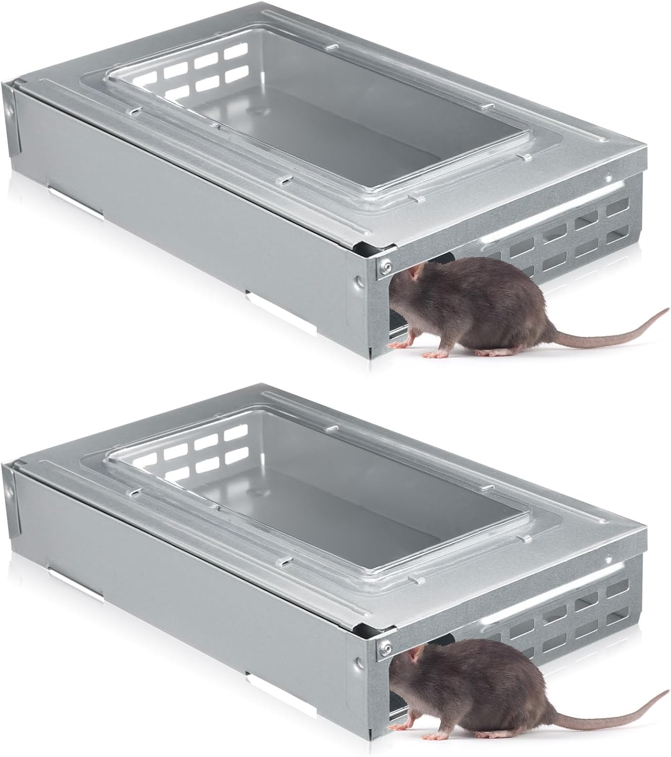 Clear Top 2 Pack Mouse Trap for Rat Control