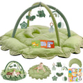 5-in-1 Plush Baby Play Gym - Convertible Mat, Nest, Ball Pit