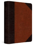 ESV Men's Study Bible in TruTone Brown with Portfolio Design