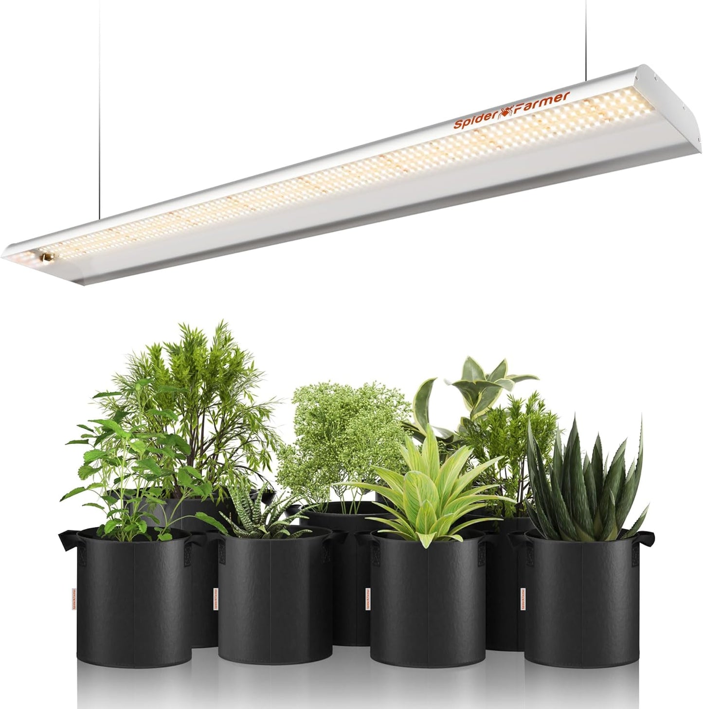Spider Farmer SF600 LED Grow Lights for Indoor Plants
