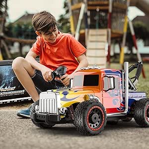TEMI Hobby Grade 1:16 Scale Remote Control Car for All Terrains