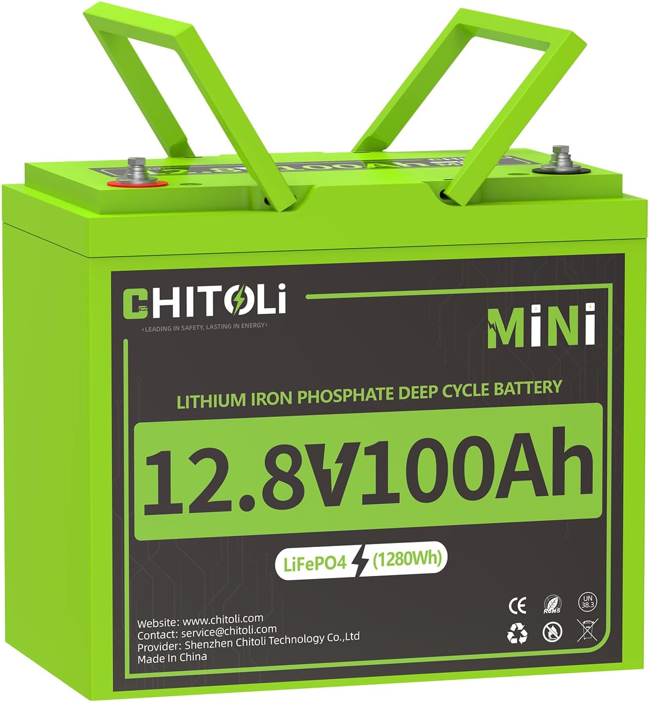 12V 100Ah Mini LiFePO4 Battery for RV, Marine, and Home Use