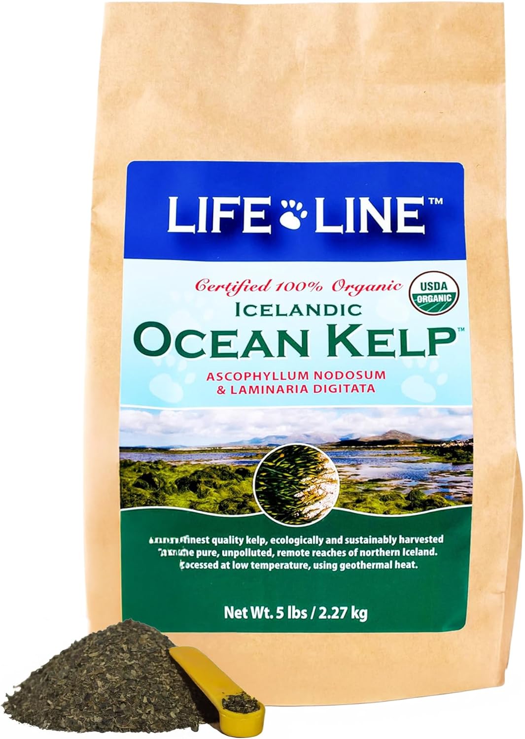 Organic Ocean Kelp Supplement for Dogs, Cats & Horses - 5 lb