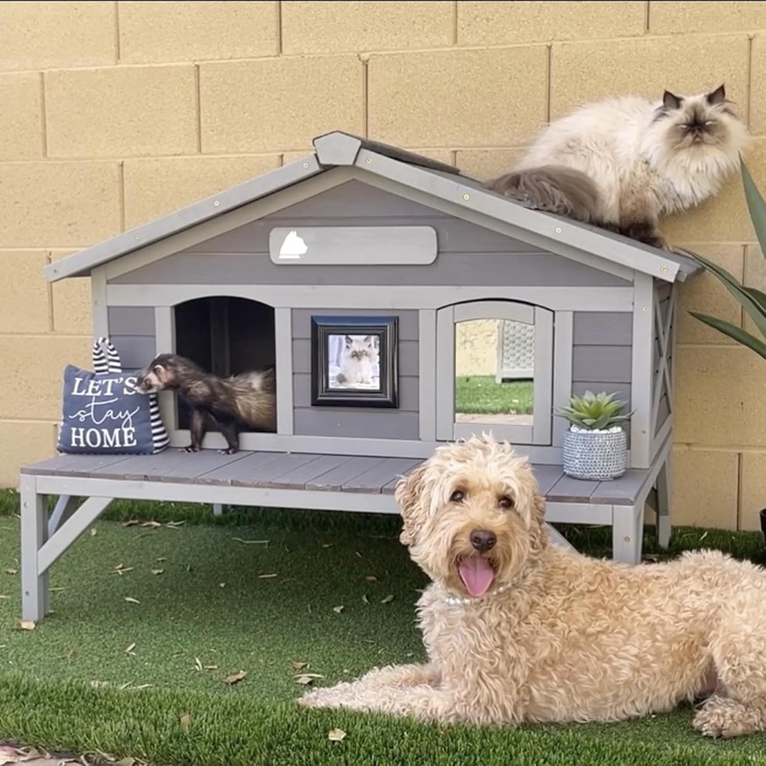 Aivituvin Outdoor Cat House for Cats with Large Opening Roof