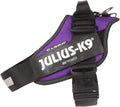 Julius-K9 IDC Powerharness L/1 Dark Purple - Stable Urban Control