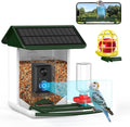 AI Bird Feeder Camera: Free AI, 1080P Videos, Solar Power