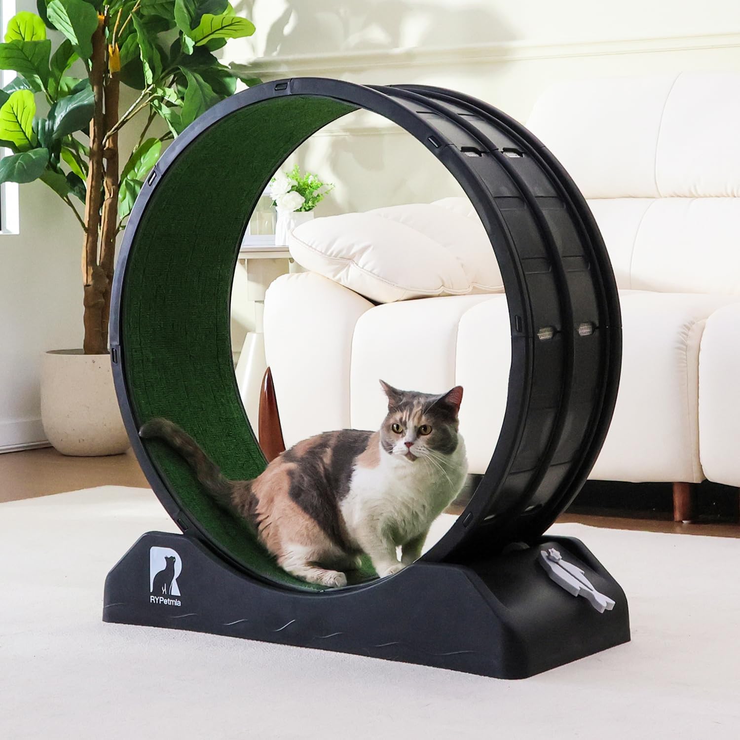 Cat Exercise Wheel for Indoor Fitness and Health - 31.5 Inch