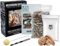 Shiitake Outdoor Mushroom Log Growing Kit - Complete Log Starter