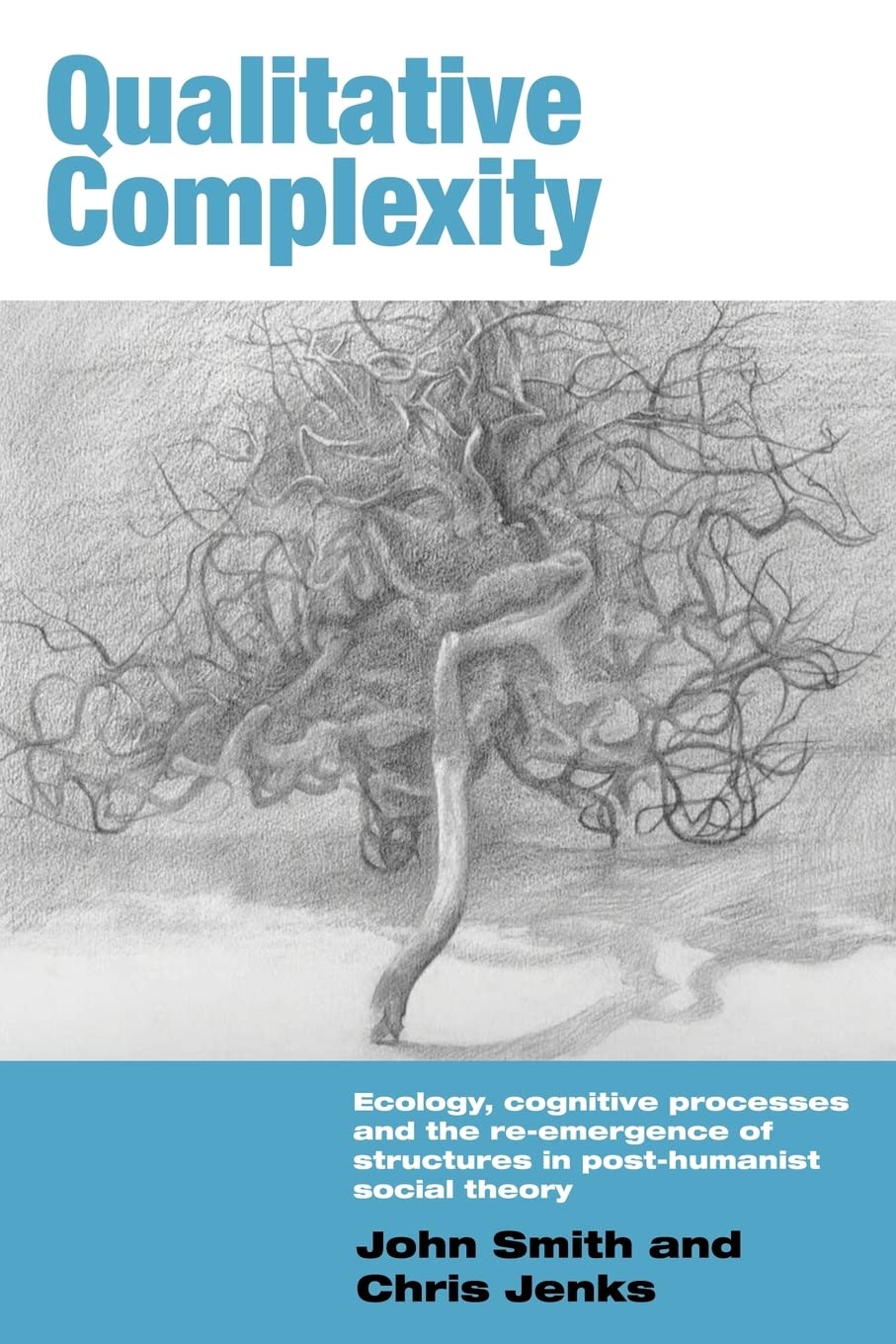 Qualitative Complexity in Post-Humanist Social Theory Explained