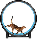 One Fast Cat Cat Exercise Wheel - 48in Safe Indoor Runner