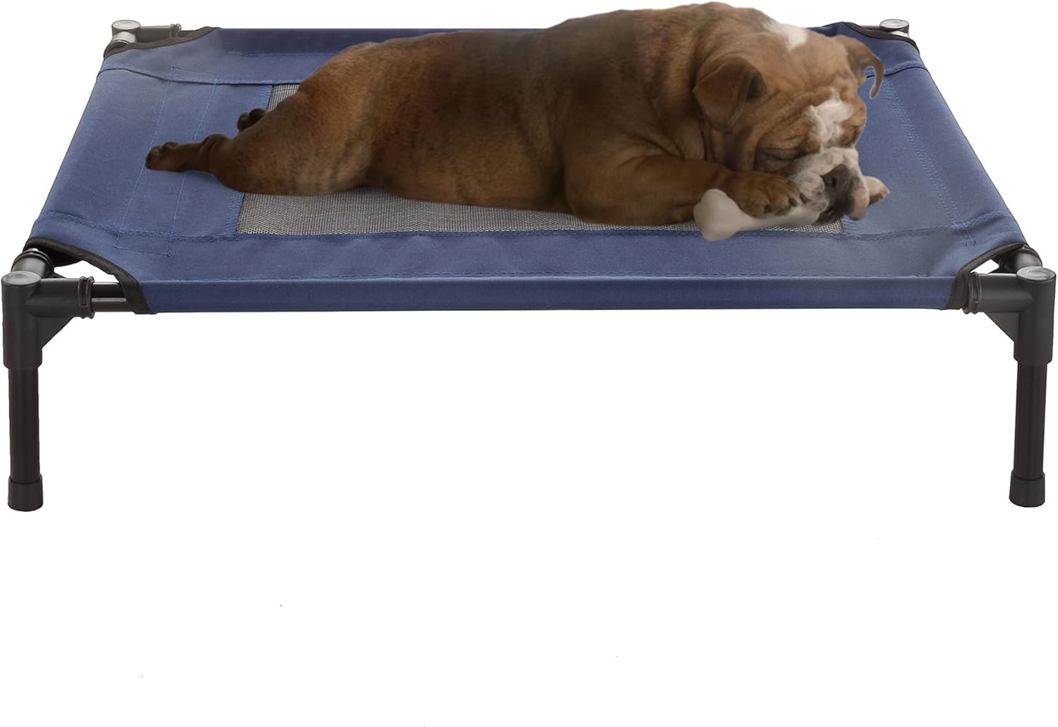 Elevated Dog Bed for Indoor and Outdoor Use - Portable Pet Cot