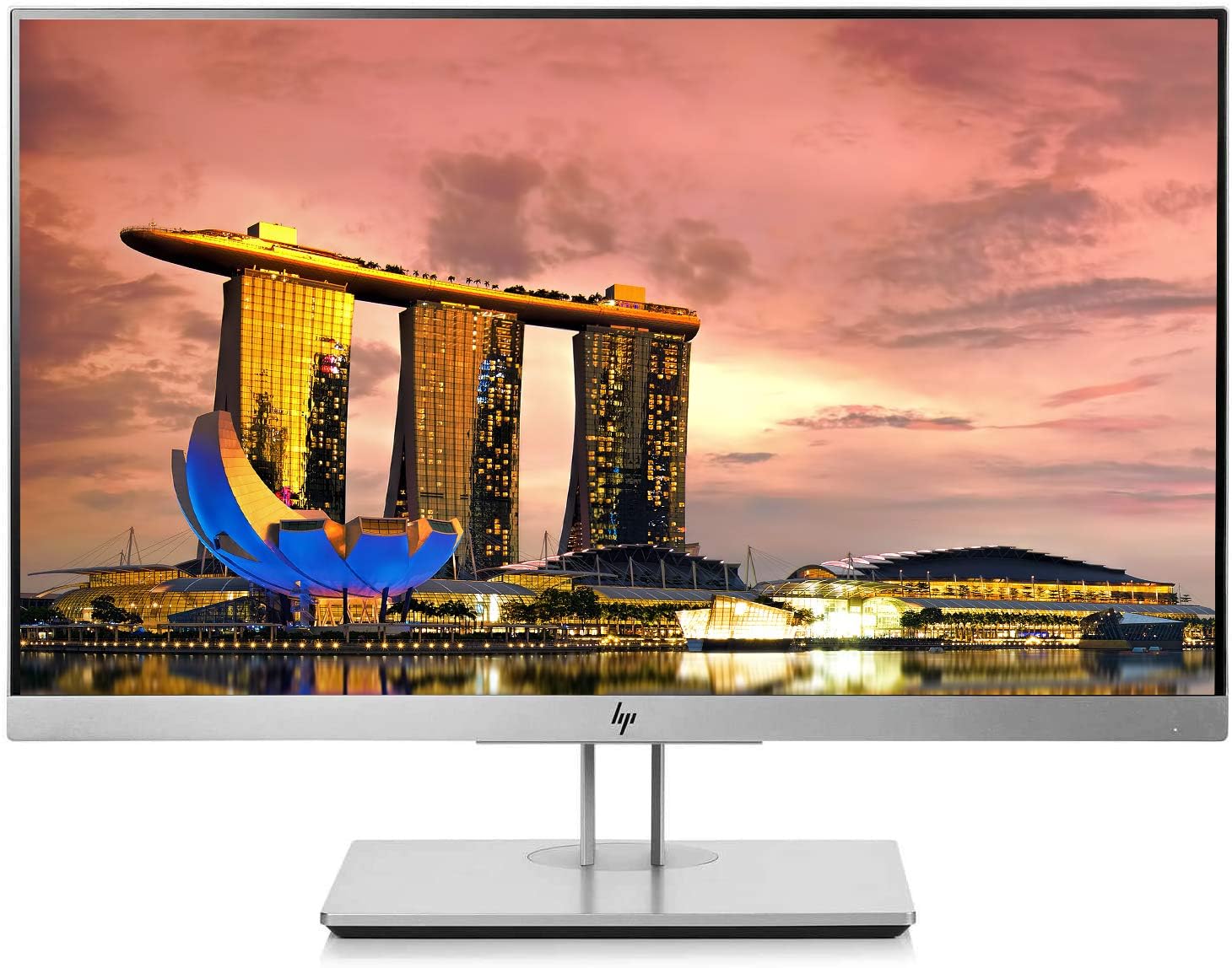 HP EliteDisplay E223 21.5 inches LCD Monitor for Clear Viewing