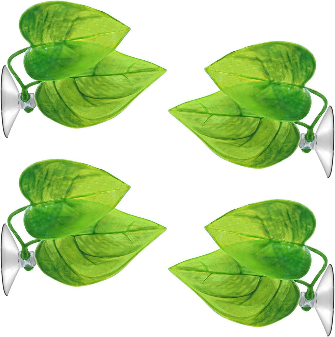 URATOT Betta Fish Leaf Pad x4 - Natural Breeding Bed