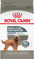 Royal Canin Large Dog Dental Care Food for Healthy Teeth