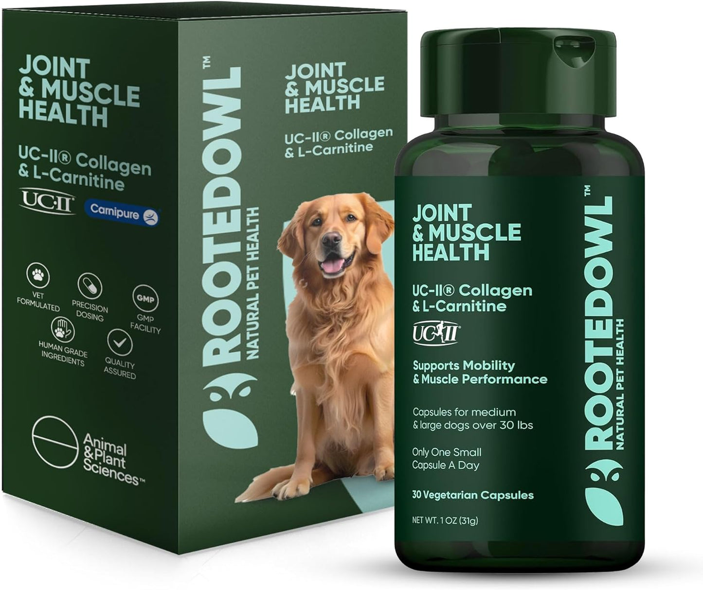 Rooted Owl Joint and Muscle Support for Large Dogs Over 30 Lbs
