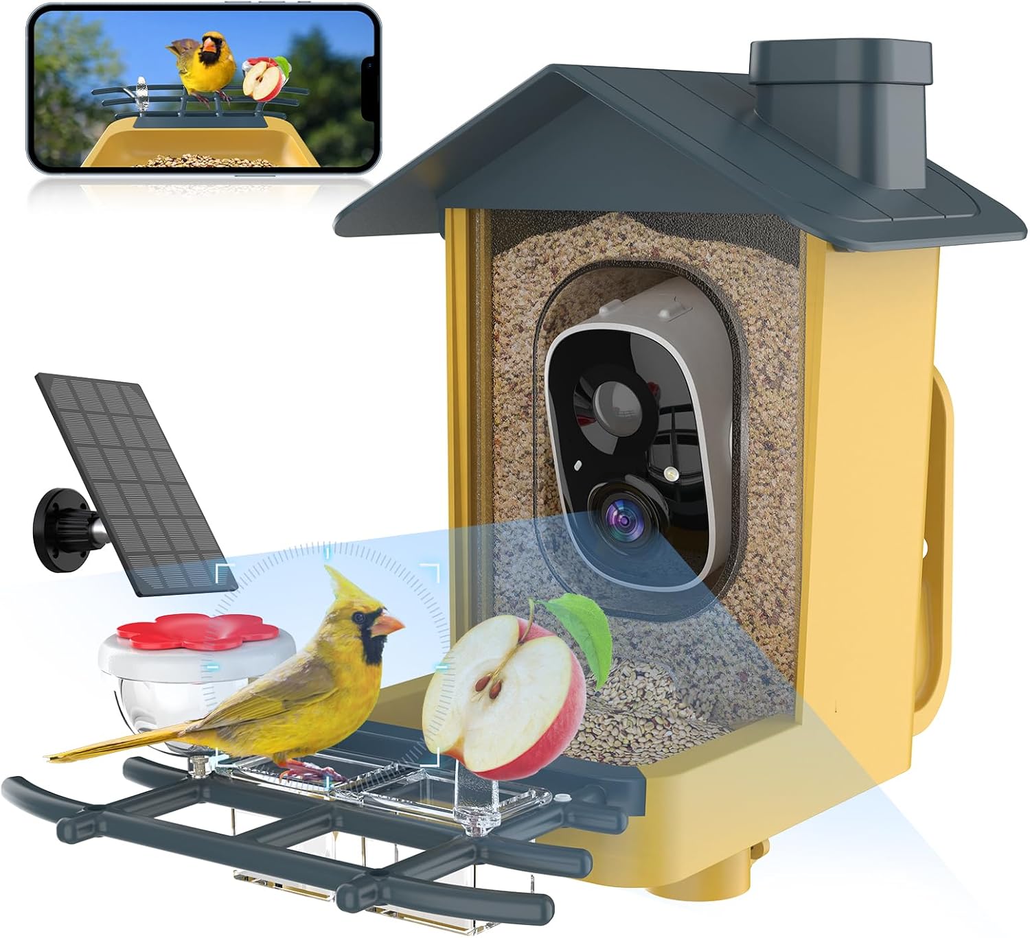 Smart Bird Feeder Camera - Identify Birds with AI