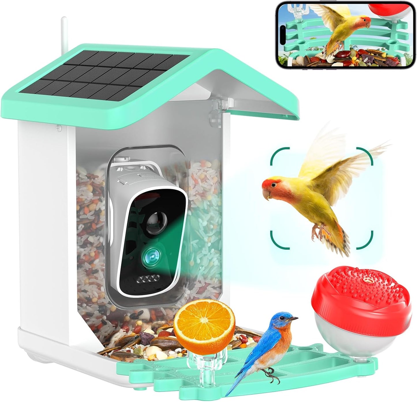 4K Bird ID Camera Feeder w/ AI 