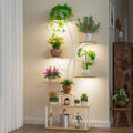 Plant Stand Indoor with Grow Light 65in 8-Tier S-Shaped Plant Shelf