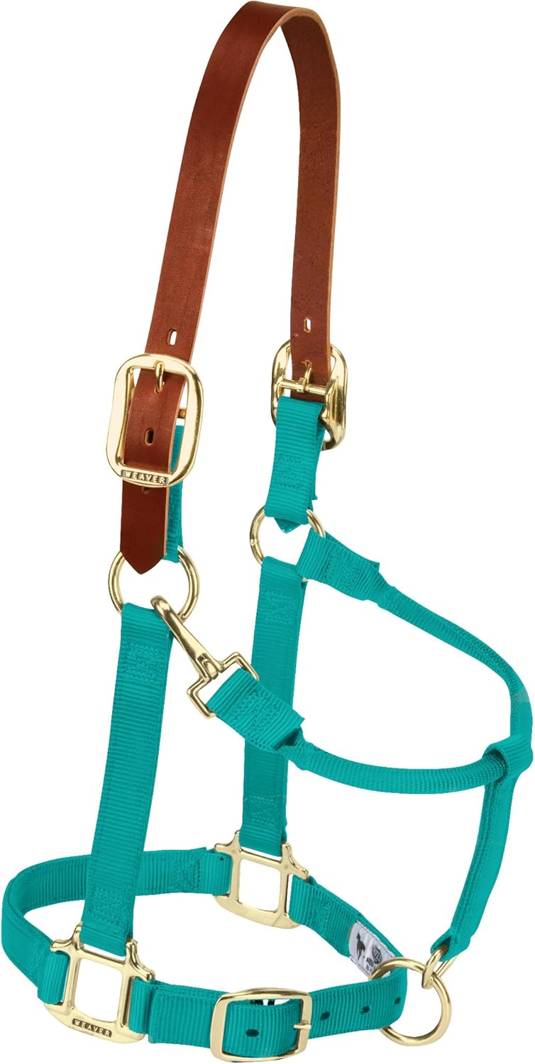 Breakaway Horse Halter with Supple Leather Crown for Horses