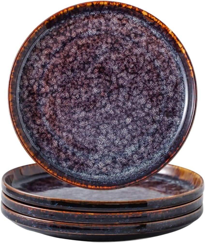 Ceramic Dinner Plates Set of 4 - Large 10 Inch Dinnerware