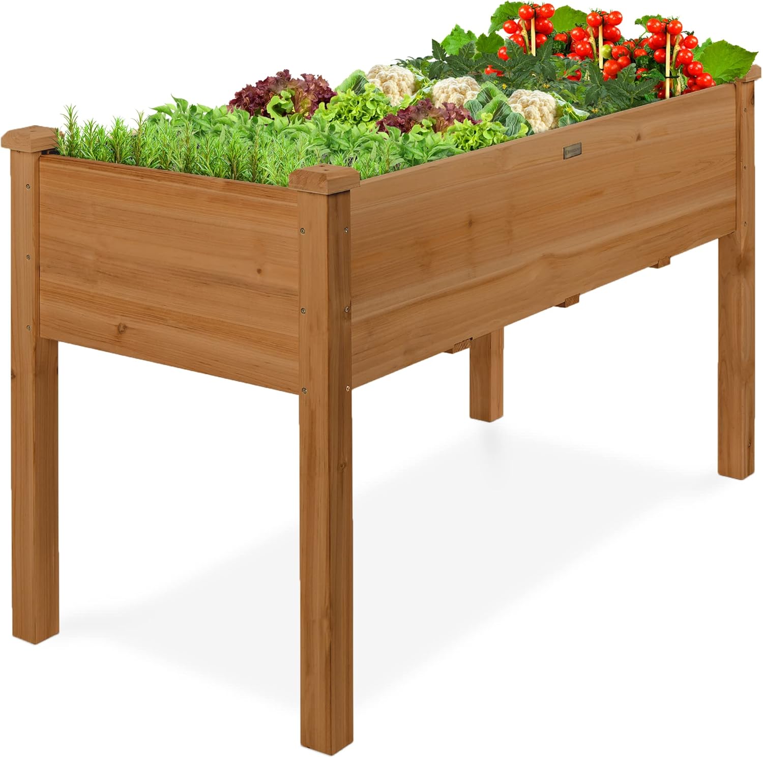 Best Choice Products 48 x 24 x 30 Inches Raised Garden Bed Review