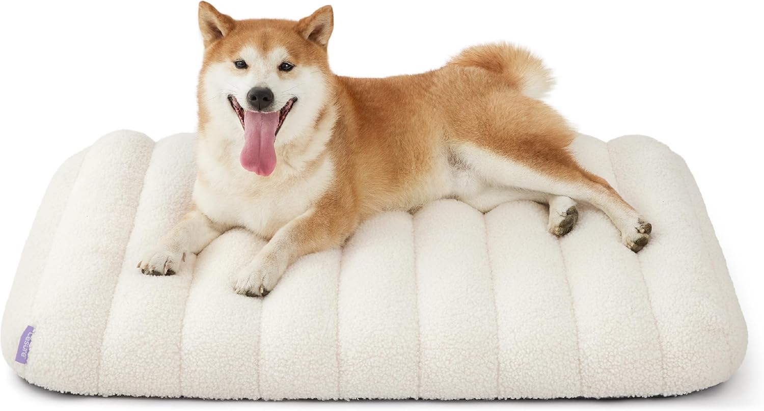 Lesure Cute Orthopedic Dog Bed for Medium Size Dogs, Cream