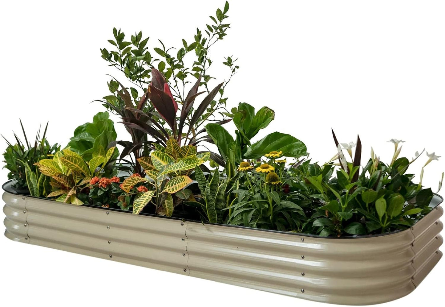 Vego Garden Raised Garden Bed Kit for Modular Gardening Needs