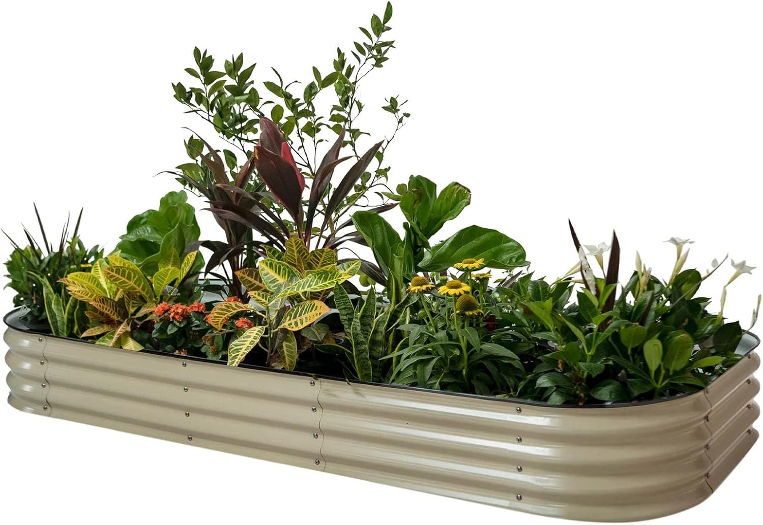 Vego Garden Raised Garden Bed Kit for Modular Gardening Needs