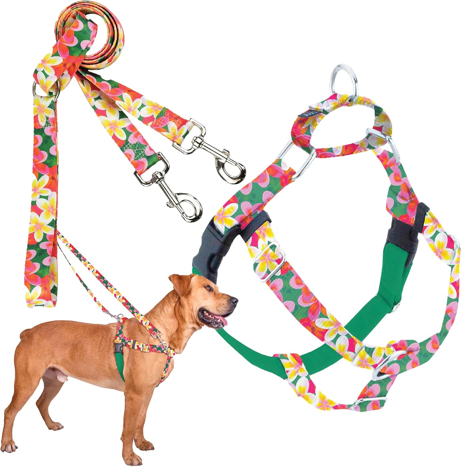 Freedom No-Pull Harness & Training Leash for Large Dogs