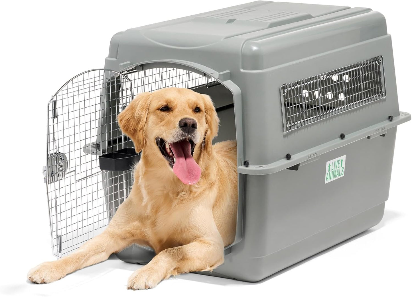 Petmate Sky Kennel - Airline Compliant Dog Crate for Travel
