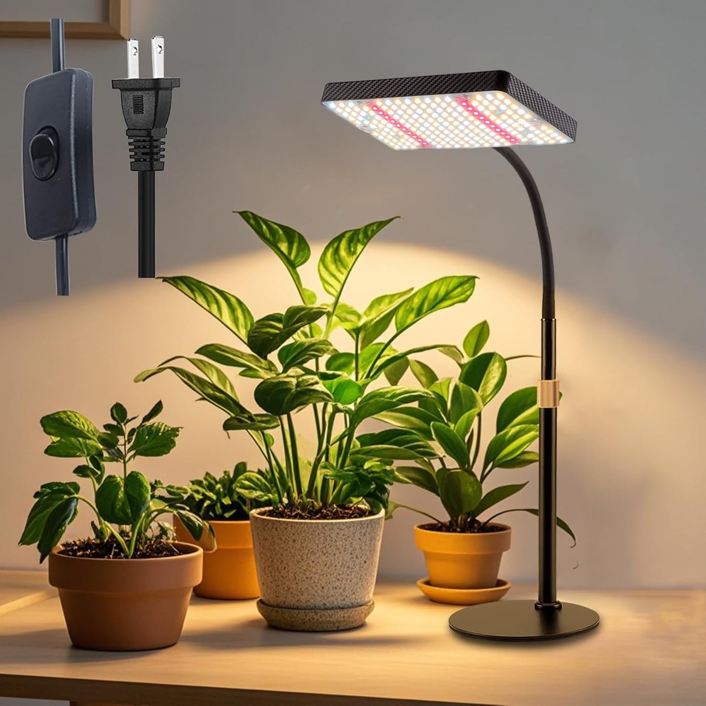Table Top Grow Light for Seed Starting and Indoor Growing
