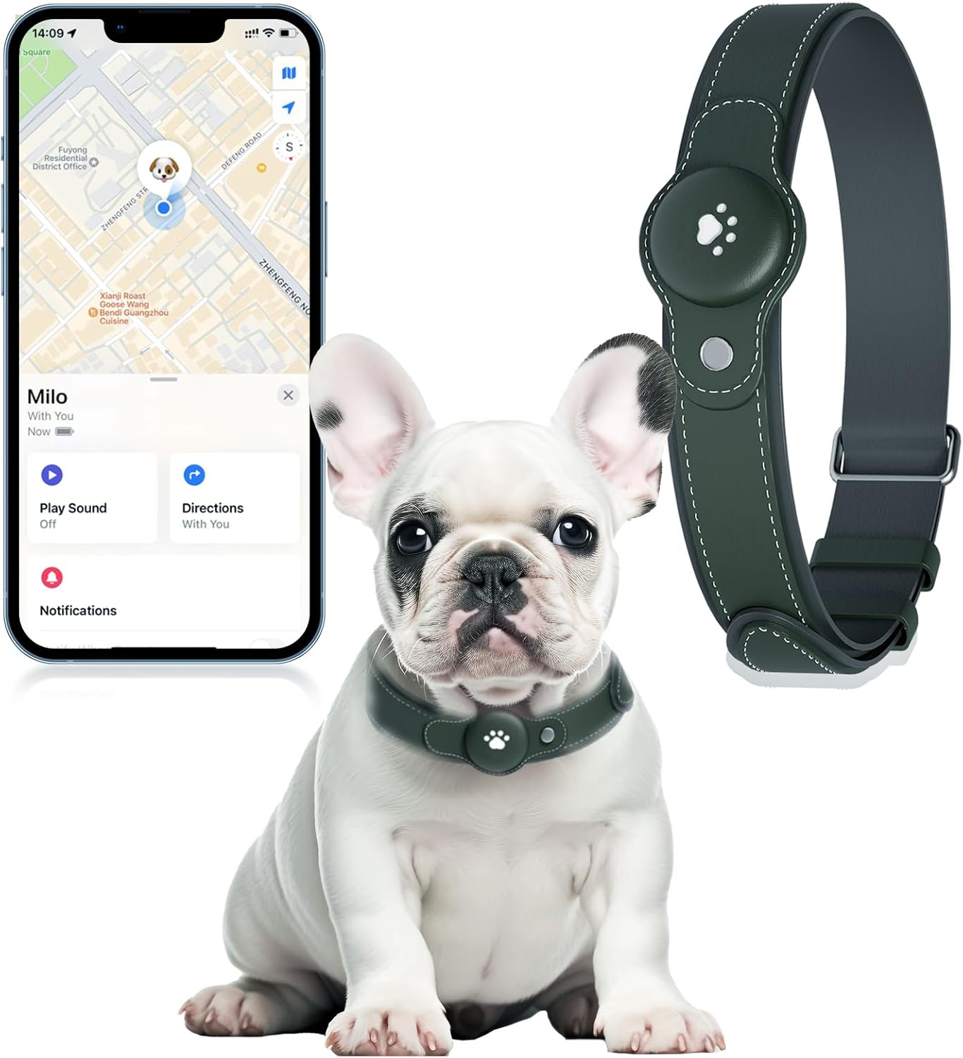 2-in-1 GPS Tracker for Dogs: Smart Collar with Unlimited Range