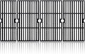 Adviace 18 in Cast Iron Grill Grates for Charbroil Performance