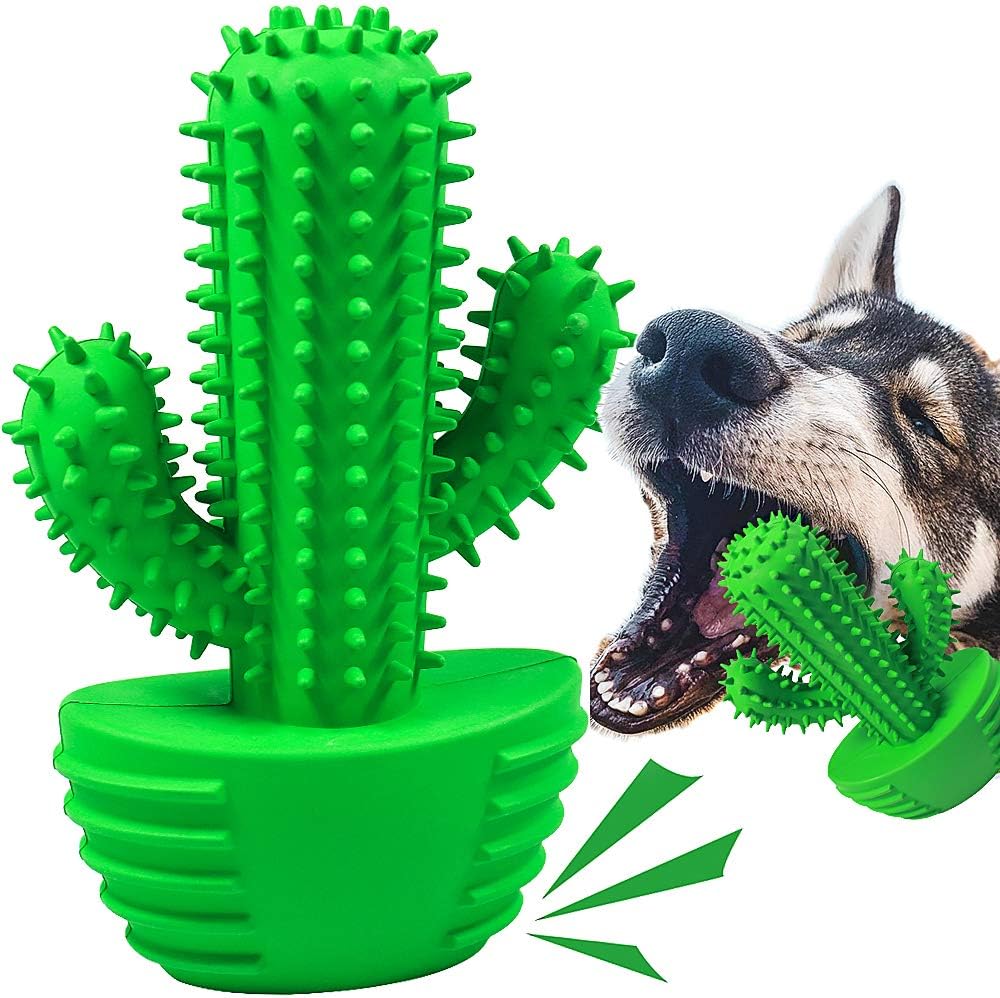 Pamlulu Dog Toothbrush Stick - Clean Teeth & Play!