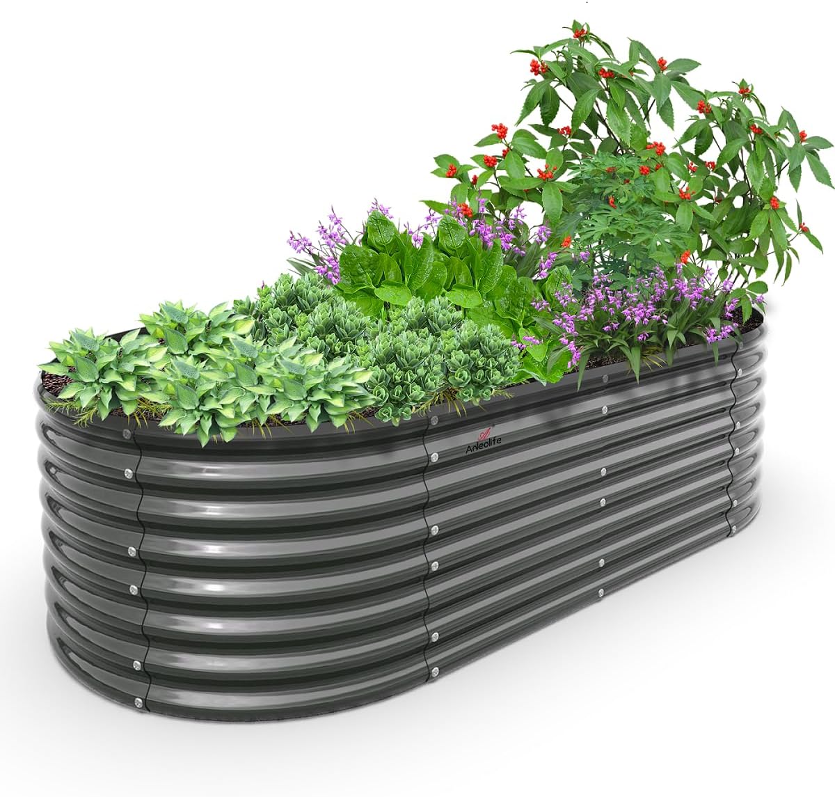Galvanized Raised Garden Beds for Vegetables and Flowers