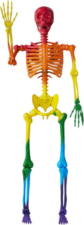 Joyin 5.6 ft Halloween Posable Life Size Skeleton - Rainbow Spooky