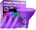 PAR38 Flood Purple Light Bulbs for Halloween and Christmas Fun