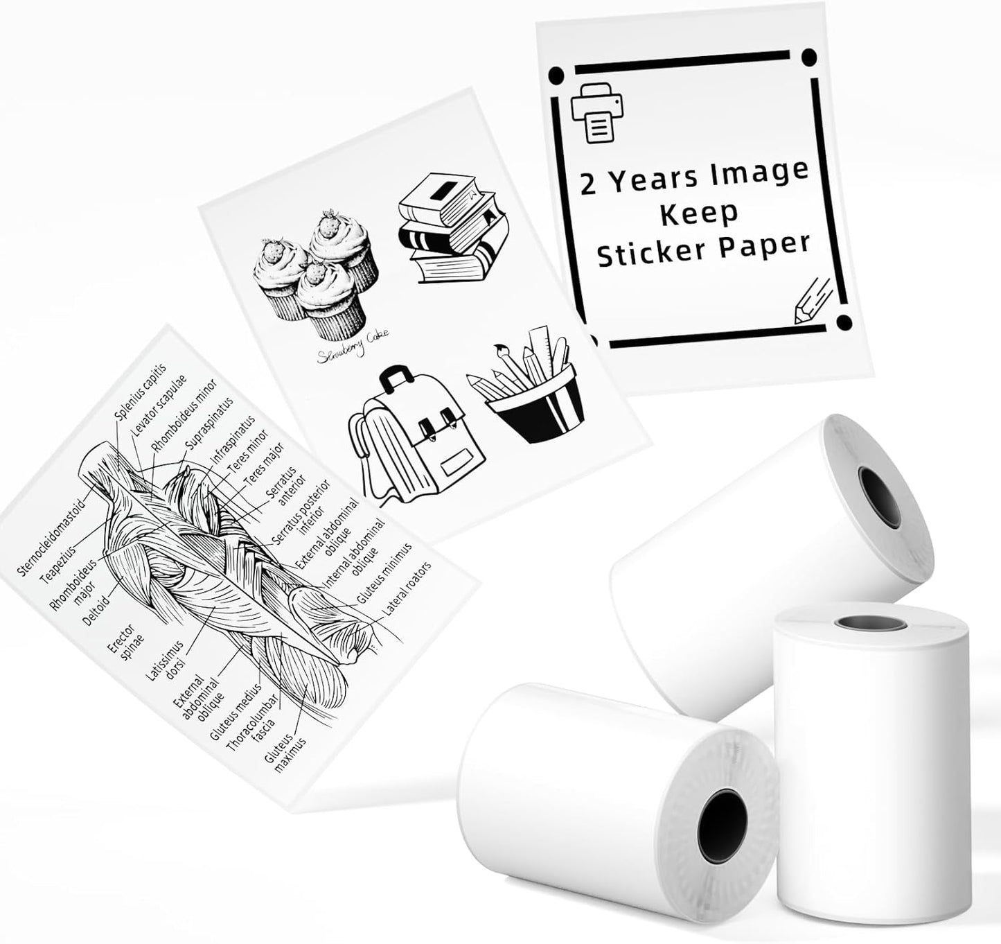 Phomemo 3 Rolls 2 Yrs Black on White Sticky Paper