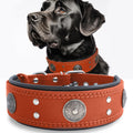 Leather Dog Collar Orange 2 in Wide Heavy Duty Genuine Leather