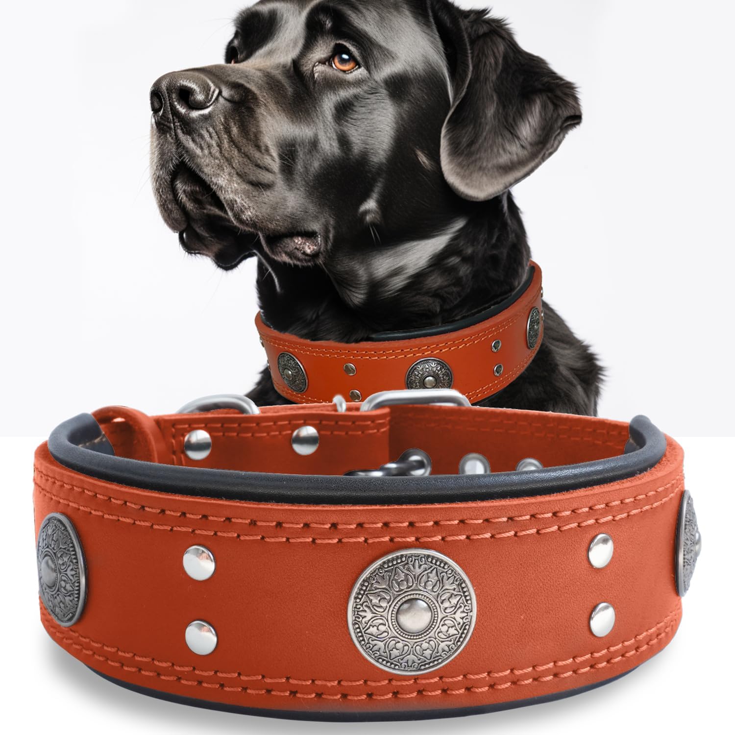 Luxury Leather Dog Collar for Large and Medium Breeds, Orange