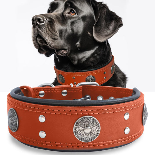 Luxury Leather Dog Collar for Large and Medium Breeds, Orange