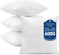 MIULEE 20x20 in Pillow Inserts Set of 4 - Fluffy Support for Couch