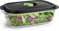 FoodSaver Preserve & Marinate Vacuum Containers, 10 Cup - Keeps Food