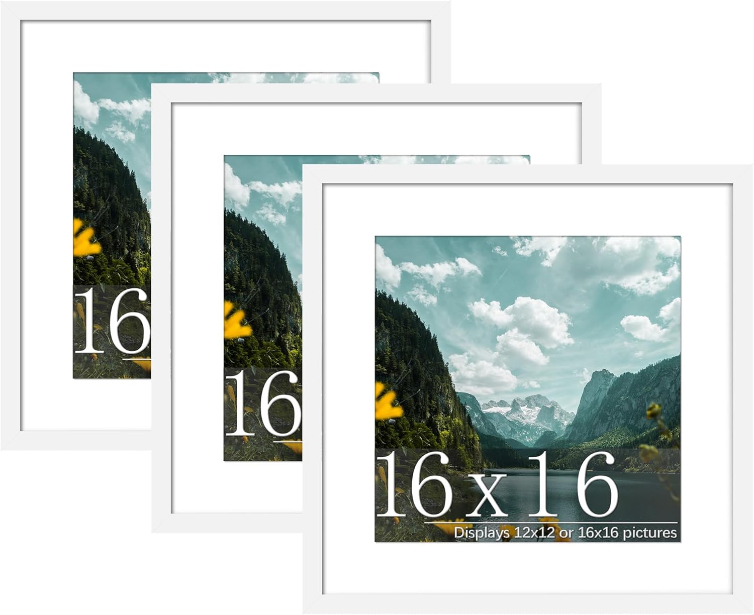 Flexible 16x16 Picture Frame 3 Pack for Stylish Displays