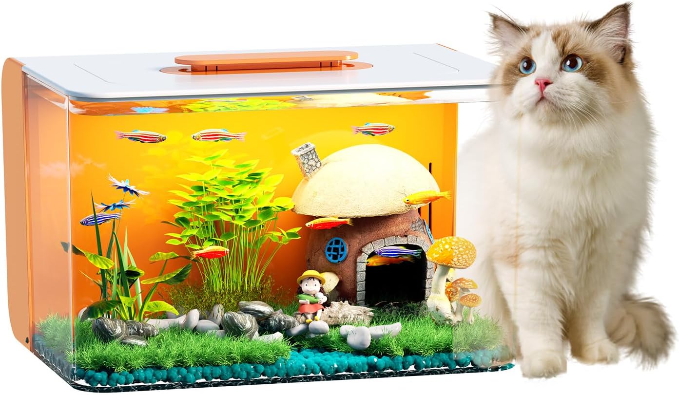 2.5 Gallon Fish Tank Starter Kit with Hidden Filtration Design