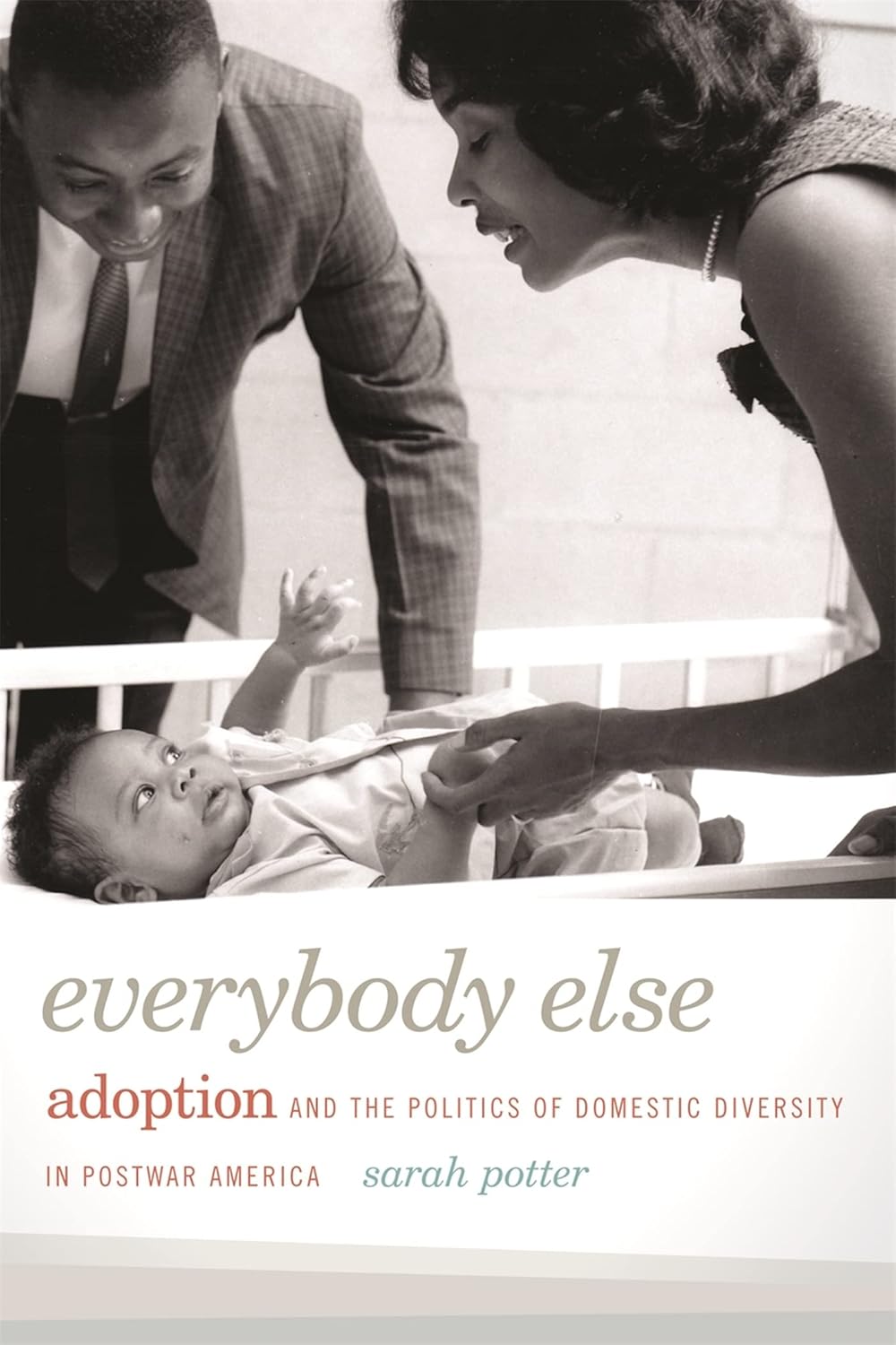 Everybody Else: Adoption and the Politics of Domestic Diversity