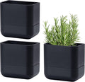 Wall Mounted Self-Watering Planter 6.5 in - Space Saving Set